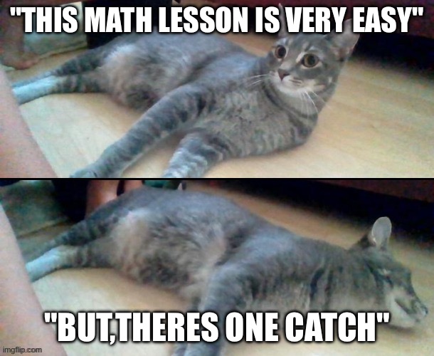 Hol' up, oh nevermind | "THIS MATH LESSON IS VERY EASY"; "BUT,THERES ONE CATCH" | image tagged in hol' up oh nevermind | made w/ Imgflip meme maker