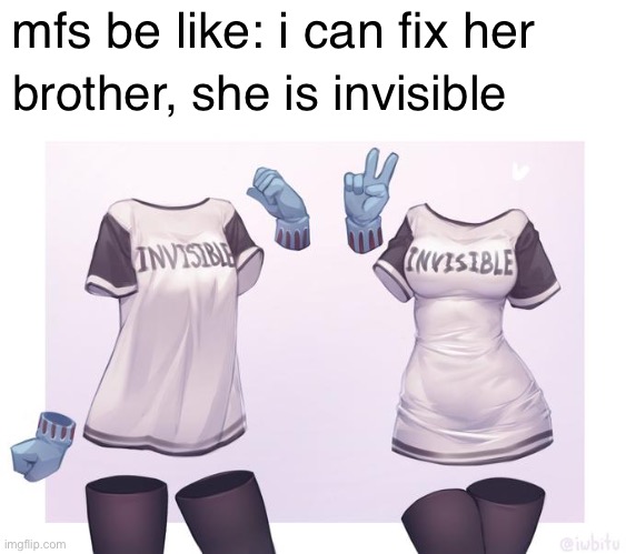 She is invisible | brother, she is invisible; mfs be like: i can fix her | image tagged in memes,invisible | made w/ Imgflip meme maker