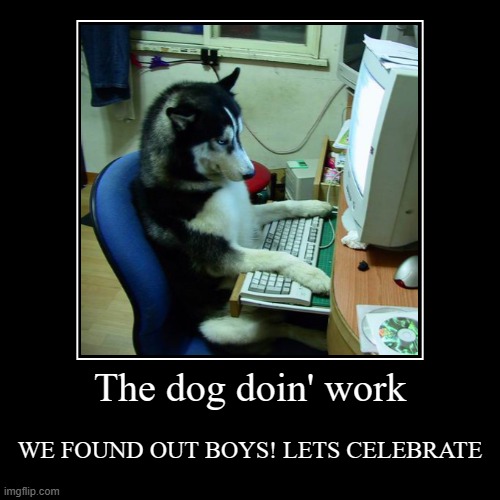 wut da dawg doin? | The dog doin' work | WE FOUND OUT BOYS! LETS CELEBRATE | image tagged in funny,demotivationals | made w/ Imgflip demotivational maker