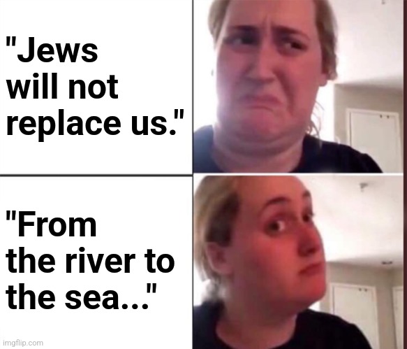 Corporate needs you to find the differences. | "Jews will not replace us."; "From the river to the sea..." | image tagged in they're the same picture,antisemitism,neo-nazis | made w/ Imgflip meme maker