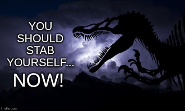 you should stab yourself.... NOW! | image tagged in you should stab yourself now | made w/ Imgflip meme maker