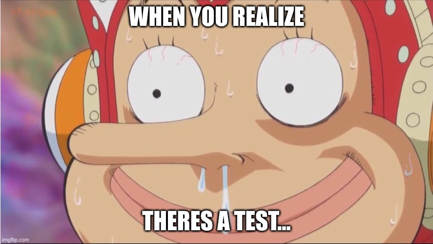 Ussop | WHEN YOU REALIZE; THERES A TEST... | image tagged in ussop | made w/ Imgflip meme maker