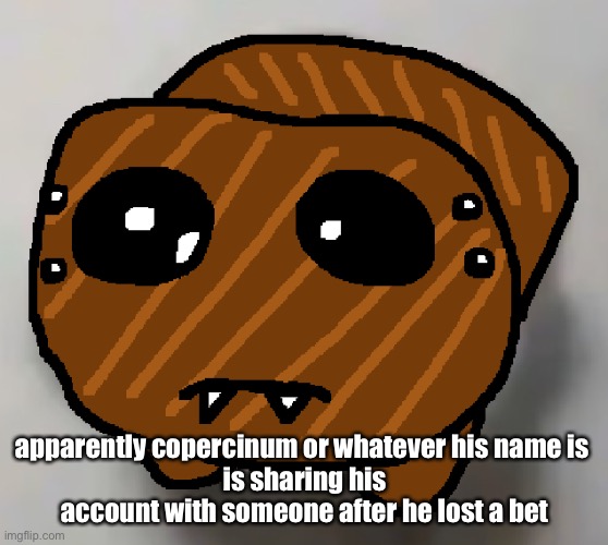 spdr hampter | apparently copercinum or whatever his name is 
is sharing his account with someone after he lost a bet | image tagged in spdr hampter | made w/ Imgflip meme maker
