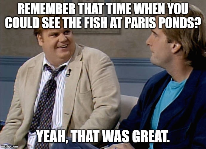Remember that time | REMEMBER THAT TIME WHEN YOU COULD SEE THE FISH AT PARIS PONDS? YEAH, THAT WAS GREAT. | image tagged in remember that time | made w/ Imgflip meme maker