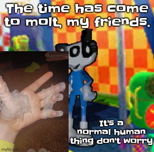 :3 | The time has come to molt, my friends. It's a normal human thing don't worry | image tagged in dob smoking a fat blunt | made w/ Imgflip meme maker