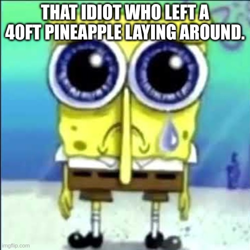 Sad Spongebob | THAT IDIOT WHO LEFT A 40FT PINEAPPLE LAYING AROUND. | image tagged in sad spongebob | made w/ Imgflip meme maker
