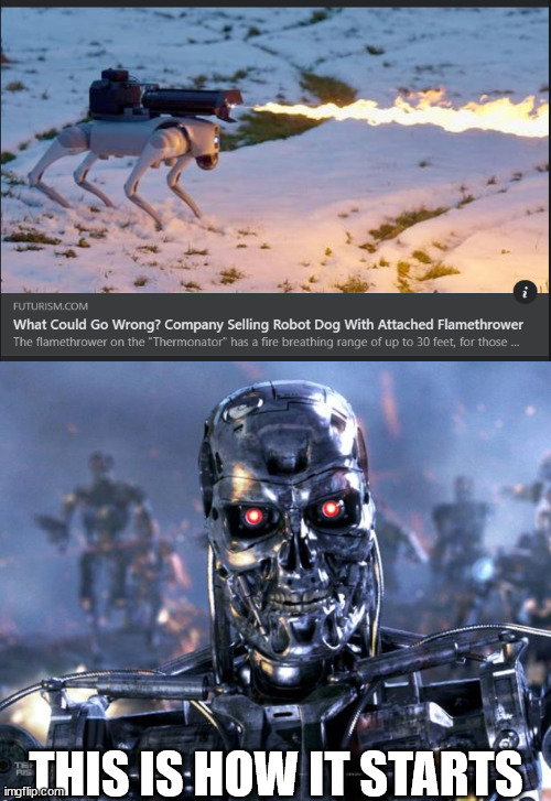 Terminator dog | THIS IS HOW IT STARTS | image tagged in terminator robot t-800,artificial intelligence,robots,skynet | made w/ Imgflip meme maker