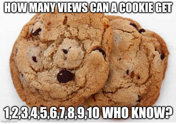 How Many views can | HOW MANY VIEWS CAN A COOKIE GET; 1,2,3,4,5,6,7,8,9,10 WHO KNOW? | image tagged in how many views can | made w/ Imgflip meme maker