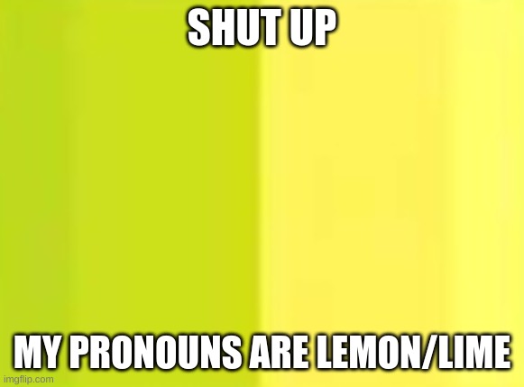 SHUT UP MY PRONOUNS ARE LEMON/LIME | made w/ Imgflip meme maker
