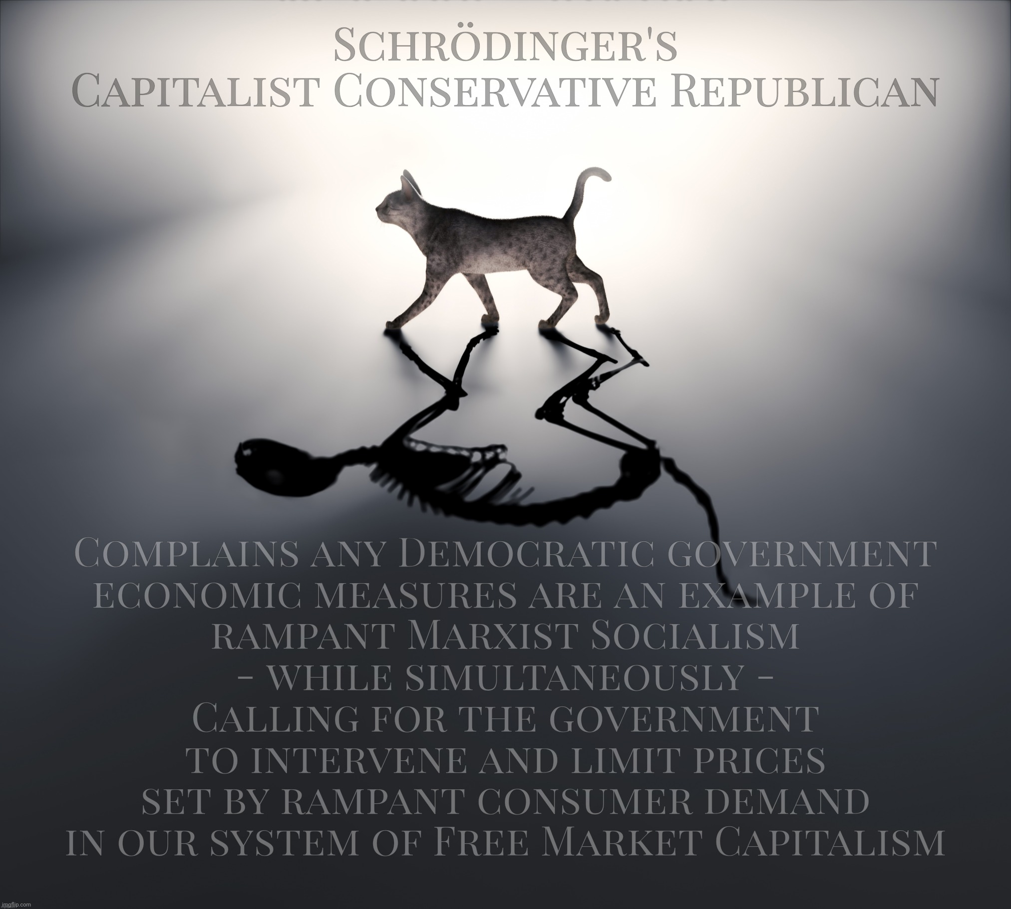 Schrödinger's Capitalist Conservative Republican | Schrödinger's
Capitalist Conservative Republican; Complains any Democratic government
economic measures are an example of
rampant Marxist Socialism
- while simultaneously -
Calling for the government
to intervene and limit prices
set by rampant consumer demand
in our system of Free Market Capitalism | image tagged in schrodinger's cat,schrodinger's republican,gop big government hypocrisy,gop hypocrite,social welfare parasites | made w/ Imgflip meme maker