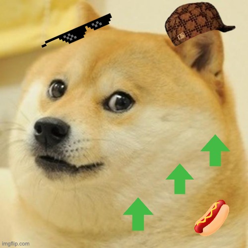 Doge Meme | image tagged in memes,doge,sweaty tryhard,cool,too much | made w/ Imgflip meme maker