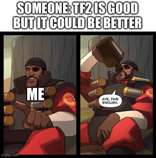 Aye Fair Enough | SOMEONE: TF2 IS GOOD BUT IT COULD BE BETTER; ME | image tagged in aye fair enough | made w/ Imgflip meme maker