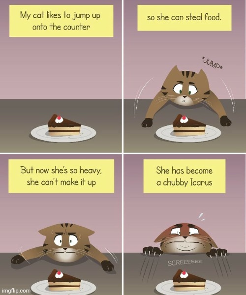 Chubbster Cato | image tagged in cake,chubby,cat,dessert,comics,comics/cartoons | made w/ Imgflip meme maker