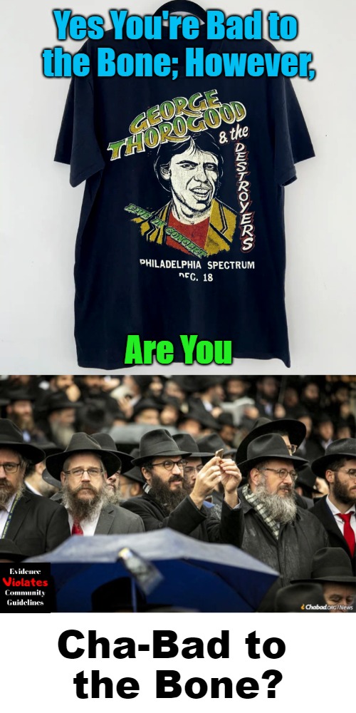Eye Didn't Roll to That Concert Because Eye Was Too Young and They Probably Didn't Unroll Child-Sized T's Anyhow | Yes You're Bad to 

the Bone; However, Are You; Cha-Bad to 

the Bone? | image tagged in 1980s,silly,chabad lubavitch,famous songs,judaism,shorter titles | made w/ Imgflip meme maker