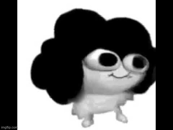 Pel | made w/ Imgflip meme maker