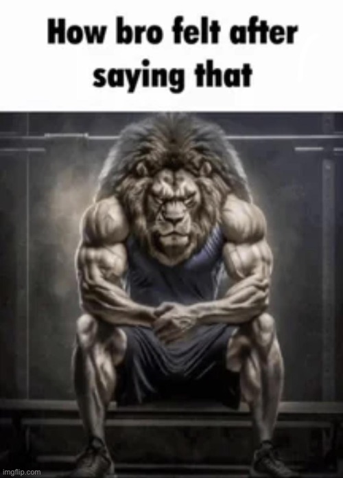 how bro felt after saying that | image tagged in how bro felt after saying that | made w/ Imgflip meme maker