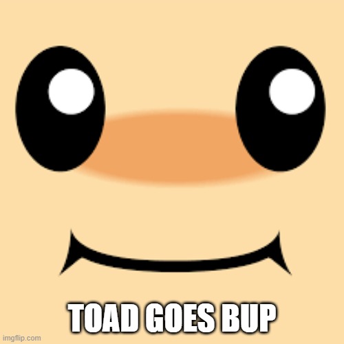 BUP | TOAD GOES BUP | image tagged in toad face,bup,super mario 64 | made w/ Imgflip meme maker