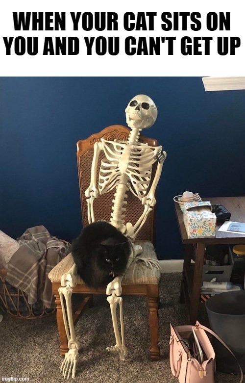 When your cat sits on you and you can't get up | WHEN YOUR CAT SITS ON YOU AND YOU CAN'T GET UP | image tagged in cat,skeleton,relatable,funny,pets | made w/ Imgflip meme maker
