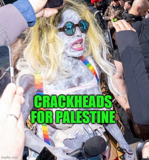From the people that brought you "queers for palestine"... | CRACKHEADS FOR PALESTINE | image tagged in crackhead barney,pro-hamas | made w/ Imgflip meme maker