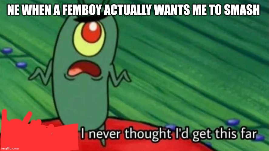 NE WHEN A FEMBOY ACTUALLY WANTS ME TO SMASH | made w/ Imgflip meme maker