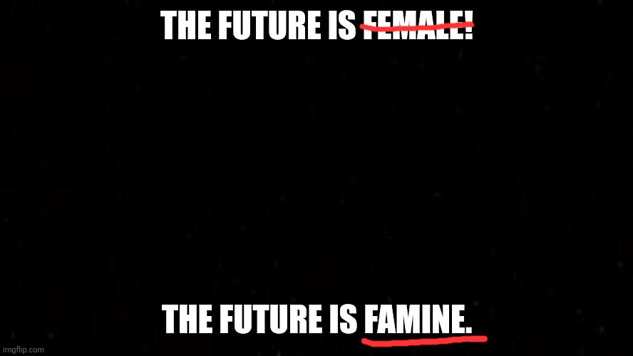 Tighten your belts. Better yet, start boiling your belts now so they are tender enough to eat later. | THE FUTURE IS FEMALE! THE FUTURE IS FAMINE. | image tagged in black square,new world order | made w/ Imgflip meme maker