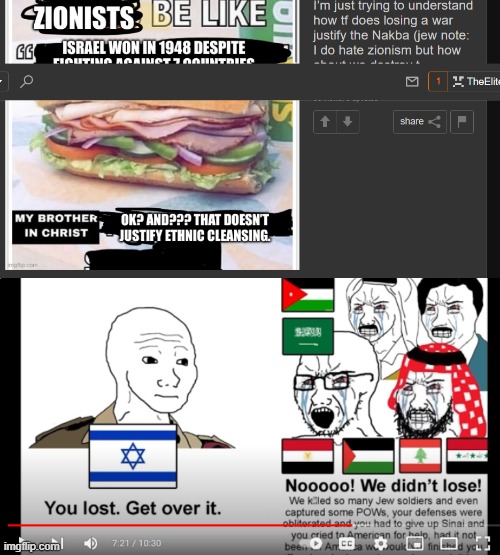 They really cant handle losing cant they. And the Palestinans brought it upon themeselves, and no, israel is not doing the ethni | image tagged in israel,stupid | made w/ Imgflip meme maker