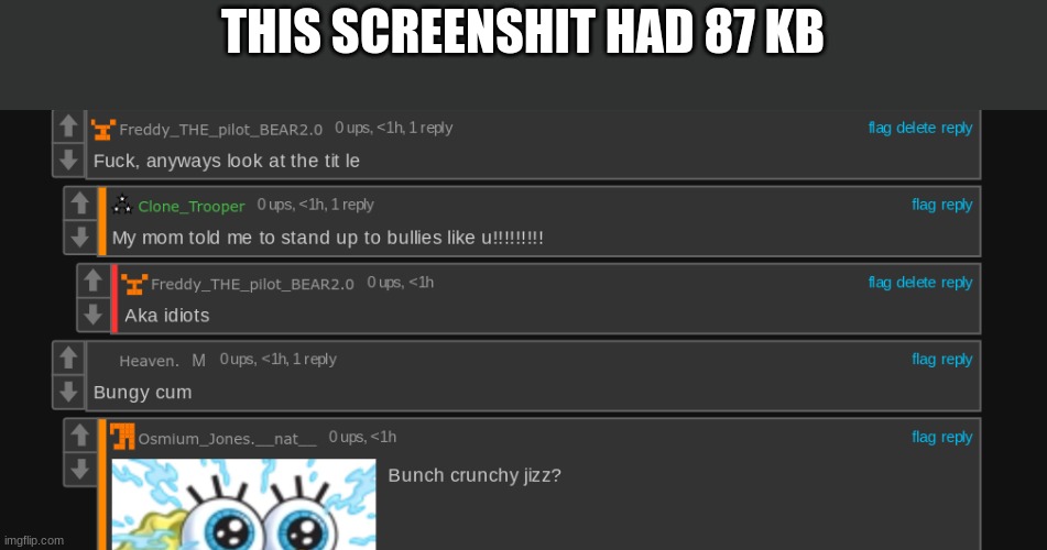 THIS SCREENSHIT HAD 87 KB; WAS THAT THE SCREEN SHOTOF 87' | made w/ Imgflip meme maker