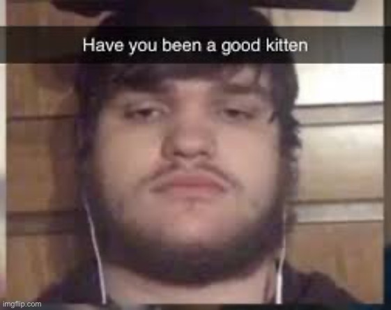 Have you been good kitten | image tagged in have you been good kitten | made w/ Imgflip meme maker