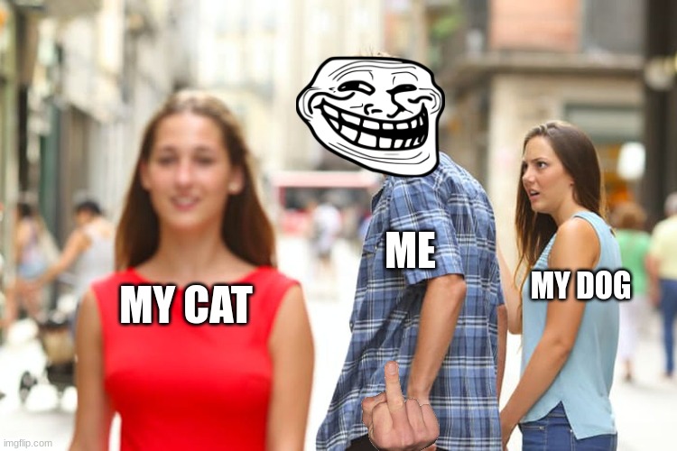 Distracted Boyfriend Meme | ME; MY DOG; MY CAT | image tagged in memes,distracted boyfriend | made w/ Imgflip meme maker