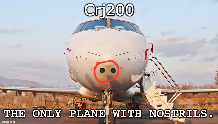 I have seen this plane sooo many times and ave not even noticed it. | Crj200; THE ONLY PLANE WITH NOSTRILS. | made w/ Imgflip meme maker