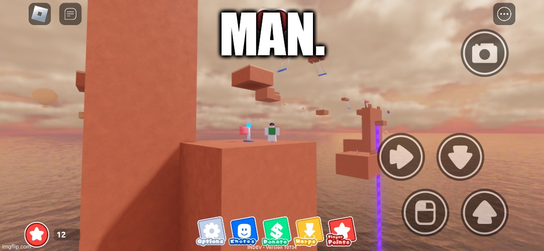 Why does it look so beautiful????? | MAN. | image tagged in roblox,platformer,man | made w/ Imgflip meme maker