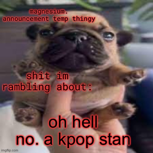 pug temp | oh hell no. a kpop stan | image tagged in pug temp | made w/ Imgflip meme maker