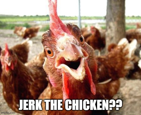 Chicken | JERK THE CHICKEN?? | image tagged in chicken | made w/ Imgflip meme maker