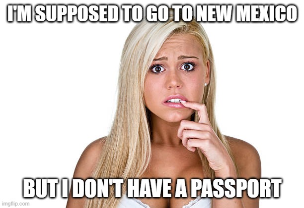 Dumb Blonde | I'M SUPPOSED TO GO TO NEW MEXICO BUT I DON'T HAVE A PASSPORT | image tagged in dumb blonde | made w/ Imgflip meme maker