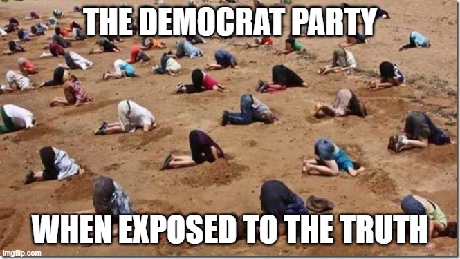 Head in sand | THE DEMOCRAT PARTY WHEN EXPOSED TO THE TRUTH | image tagged in head in sand | made w/ Imgflip meme maker