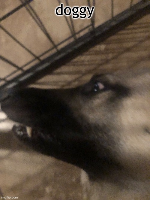 ok bro how come doggystyle is on the middle part of my phone thing | doggy | made w/ Imgflip meme maker