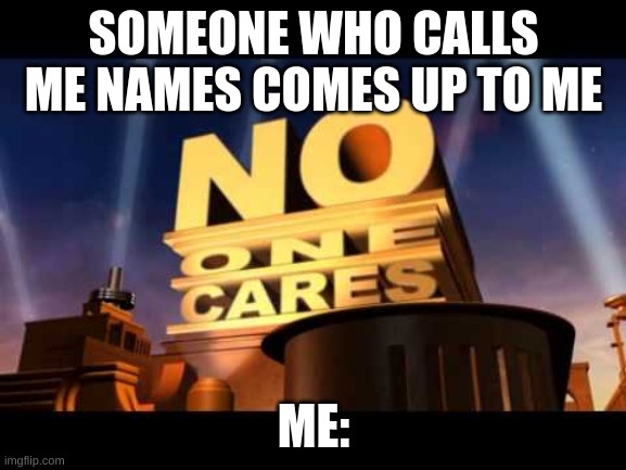 Bro | SOMEONE WHO CALLS ME NAMES COMES UP TO ME; ME: | image tagged in no one cares | made w/ Imgflip meme maker