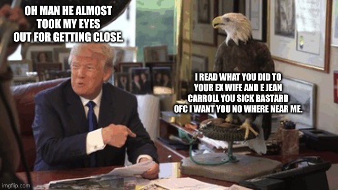 Wonder if it heard about the access Hollywood tape too… | OH MAN HE ALMOST TOOK MY EYES OUT FOR GETTING CLOSE. I READ WHAT YOU DID TO YOUR EX WIFE AND E JEAN CARROLL YOU SICK BASTARD OFC I WANT YOU NO WHERE NEAR ME. | image tagged in eagle attacking trump meme,go for the eyes,trump fail,america hates trump | made w/ Imgflip meme maker