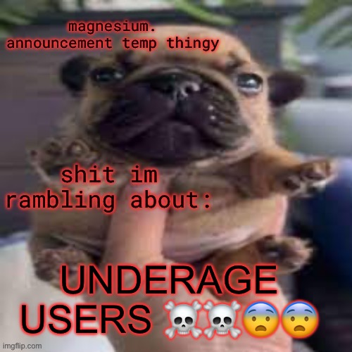 pug temp | UNDERAGE USERS ☠️☠️😨😨 | image tagged in pug temp | made w/ Imgflip meme maker