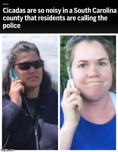 Karens vs Cicadas | image tagged in bbq becky permit patty,911,karens,cicada,noise | made w/ Imgflip meme maker