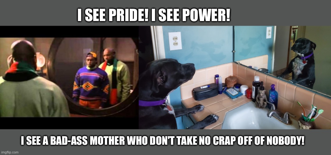 What do you see? | I SEE PRIDE! I SEE POWER! I SEE A BAD-ASS MOTHER WHO DON'T TAKE NO CRAP OFF OF NOBODY! | image tagged in cool runnings,dog in the mirror,power,pride | made w/ Imgflip meme maker