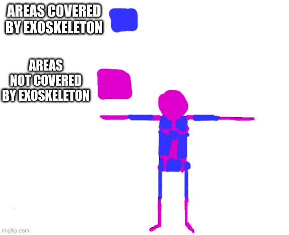 he does wear something in a sense just so you know | AREAS COVERED BY EXOSKELETON; AREAS NOT COVERED BY EXOSKELETON | image tagged in updated spdr info | made w/ Imgflip meme maker