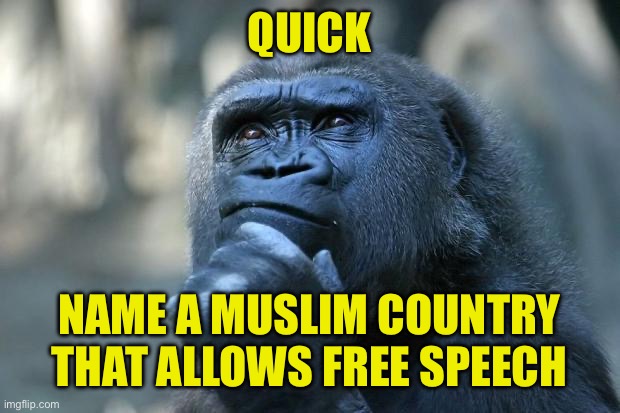 I wonder if there is one | QUICK; NAME A MUSLIM COUNTRY THAT ALLOWS FREE SPEECH | image tagged in deep thoughts | made w/ Imgflip meme maker