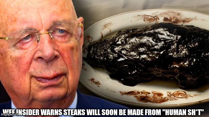 WEF Insider Warns Steaks Will Soon Be Made From "Human Sh*t"  (Video) 