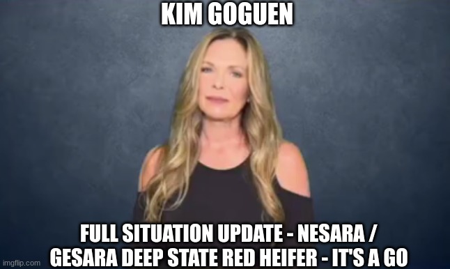 Kim Goguen: Full Situation Update - NESARA / GESARA Deep State Red Heifer - It's a GO (Video) 