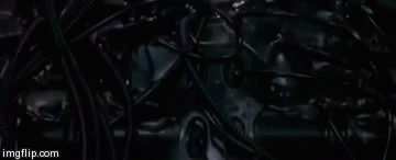 8nty3.gif