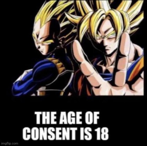 The Age of Consent is 18 | image tagged in the age of consent is 18 | made w/ Imgflip meme maker