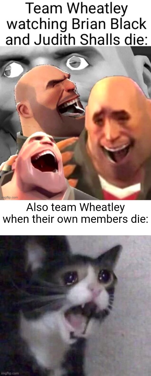 Fixed your meme | Also team Wheatley when their own members die: | image tagged in crying cat | made w/ Imgflip meme maker