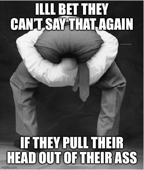 head in ass bigger | ILLL BET THEY CAN’T SAY THAT AGAIN IF THEY PULL THEIR HEAD OUT OF THEIR ASS | image tagged in head in ass bigger | made w/ Imgflip meme maker