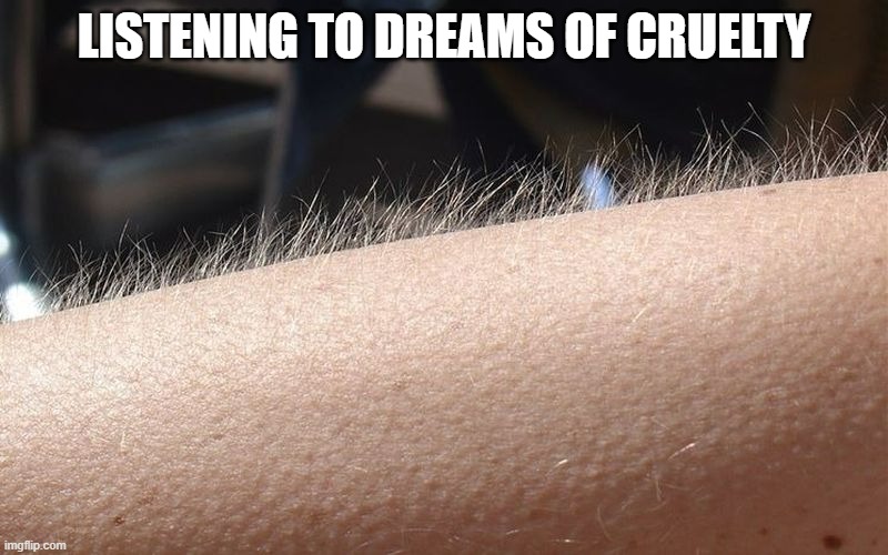 Dreams of Cruelty | LISTENING TO DREAMS OF CRUELTY | image tagged in goose bump,team fortress 2,tf2,music | made w/ Imgflip meme maker